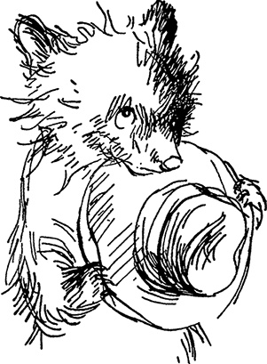 Иллюстрация к книге — Медвежонок по имени Паддингтон [i_006.jpg]