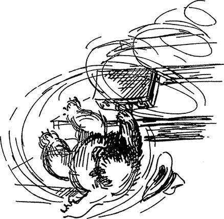 Иллюстрация к книге — Медвежонок по имени Паддингтон [i_012.jpg]