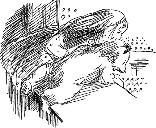 Иллюстрация к книге — Медвежонок по имени Паддингтон [i_025.jpg]