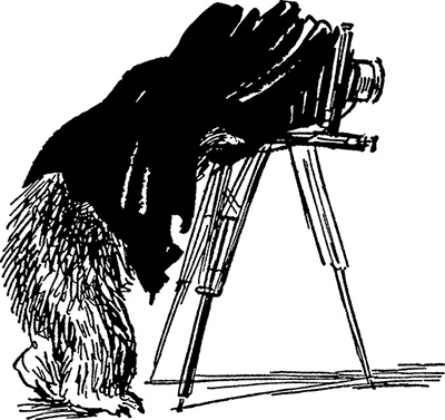 Иллюстрация к книге — Медвежонок Паддингтон. Новые приключения [i_001.jpg]