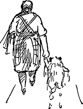 Иллюстрация к книге — Медвежонок Паддингтон. Новые приключения [i_012.jpg]