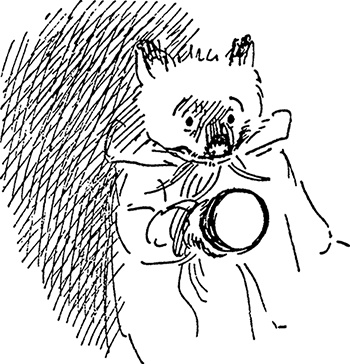 Иллюстрация к книге — Медвежонок Паддингтон. Новые приключения [i_018.jpg]