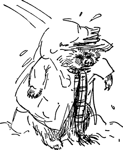 Иллюстрация к книге — Медвежонок Паддингтон. Новые приключения [i_027.jpg]