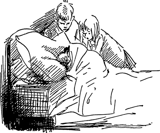 Иллюстрация к книге — Медвежонок Паддингтон. Новые приключения [i_030.jpg]