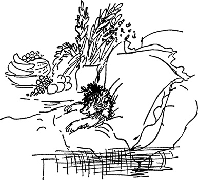 Иллюстрация к книге — Медвежонок Паддингтон. Новые приключения [i_031.jpg]