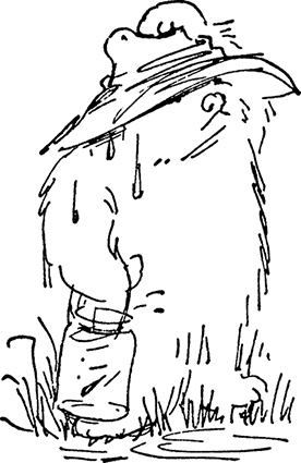 Иллюстрация к книге — Медвежонок Паддингтон спешит на помощь [i_004.jpg]