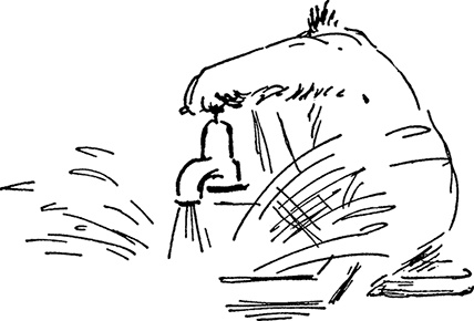 Иллюстрация к книге — Медвежонок Паддингтон спешит на помощь [i_014.jpg]