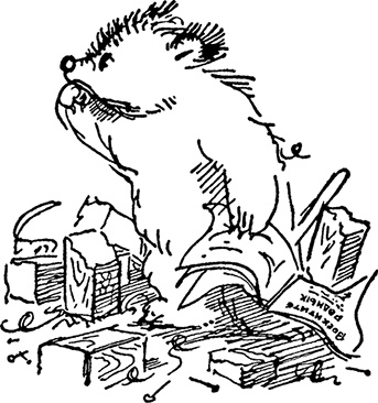 Иллюстрация к книге — Медвежонок Паддингтон спешит на помощь [i_017.jpg]