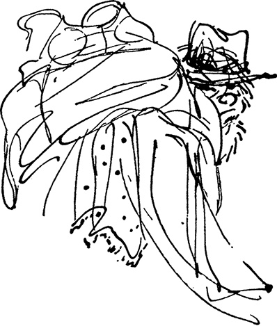 Иллюстрация к книге — Медвежонок Паддингтон спешит на помощь [i_030.jpg]