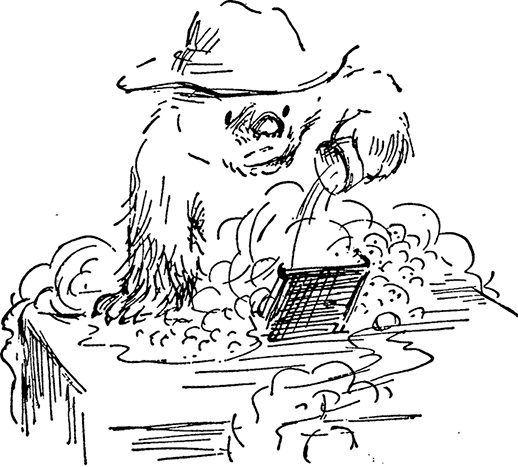 Иллюстрация к книге — Медвежонок Паддингтон спешит на помощь [i_034.jpg]