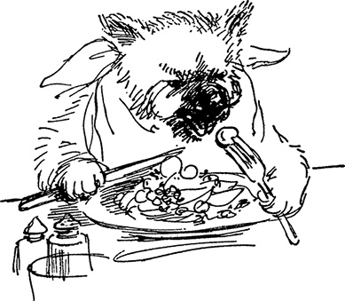 Иллюстрация к книге — Медвежонок Паддингтон спешит на помощь [i_040.jpg]