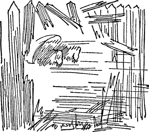 Иллюстрация к книге — Медвежонок Паддингтон тут и там [i_004.jpg]