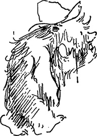 Иллюстрация к книге — Медвежонок Паддингтон тут и там [i_015.jpg]