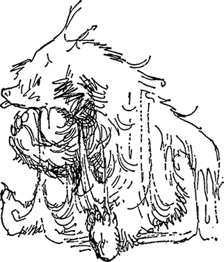 Иллюстрация к книге — Медвежонок Паддингтон тут и там [i_017.jpg]