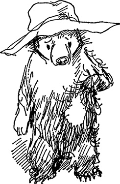 Иллюстрация к книге — Медвежонок Паддингтон тут и там [i_019.jpg]