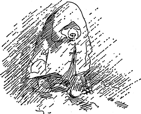 Иллюстрация к книге — Медвежонок Паддингтон тут и там [i_026.jpg]