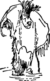 Иллюстрация к книге — Медвежонок Паддингтон не сдается [i_016.jpg]