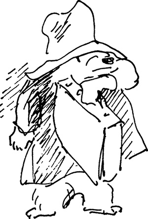 Иллюстрация к книге — Медвежонок Паддингтон не сдается [i_017.jpg]