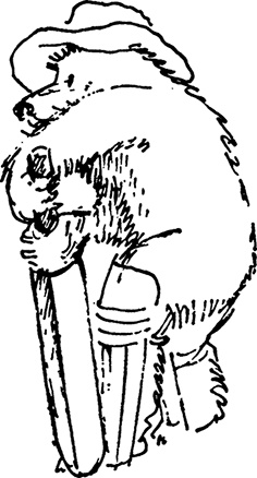 Иллюстрация к книге — Медвежонок Паддингтон не сдается [i_024.jpg]