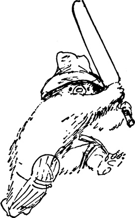 Иллюстрация к книге — Медвежонок Паддингтон не сдается [i_025.jpg]