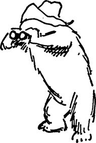 Иллюстрация к книге — Медвежонок Паддингтон не сдается [i_034.jpg]