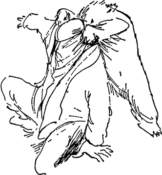 Иллюстрация к книге — Медвежонок Паддингтон не сдается [i_036.jpg]