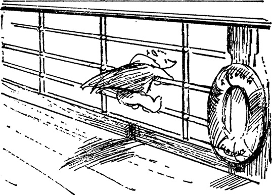 Иллюстрация к книге — Медвежонок Паддингтон занят делом [i_006.jpg]