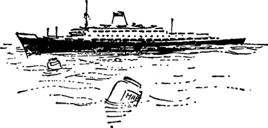 Иллюстрация к книге — Медвежонок Паддингтон занят делом [i_010.jpg]