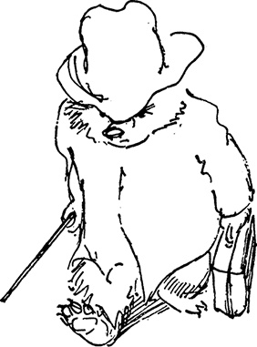 Иллюстрация к книге — Медвежонок Паддингтон занят делом [i_018.jpg]