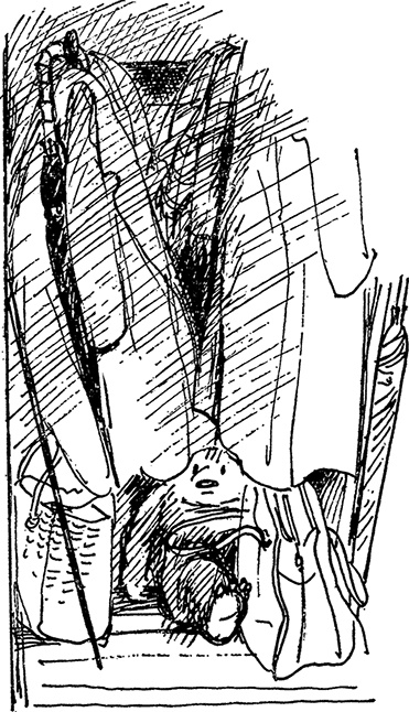 Иллюстрация к книге — Медвежонок Паддингтон занят делом [i_021.jpg]