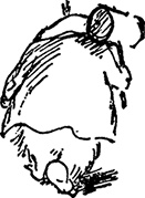 Иллюстрация к книге — Медвежонок Паддингтон занят делом [i_028.jpg]