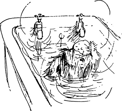 Иллюстрация к книге — Медвежонок Паддингтон в центре Лондона [i_002.jpg]