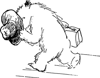 Иллюстрация к книге — Медвежонок Паддингтон в центре Лондона [i_003.jpg]