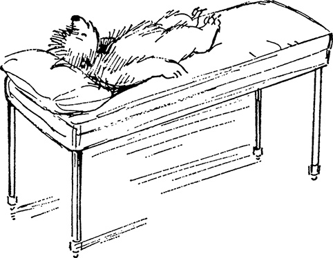 Иллюстрация к книге — Медвежонок Паддингтон в центре Лондона [i_012.jpg]