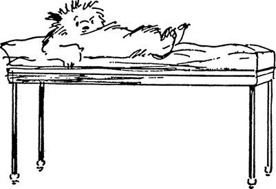 Иллюстрация к книге — Медвежонок Паддингтон в центре Лондона [i_013.jpg]