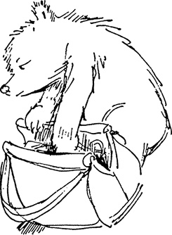 Иллюстрация к книге — Медвежонок Паддингтон в центре Лондона [i_017.jpg]