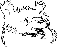 Иллюстрация к книге — Медвежонок Паддингтон находит выход [i_001.jpg]