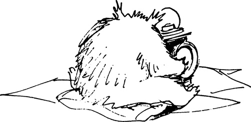 Иллюстрация к книге — Медвежонок Паддингтон находит выход [i_015.jpg]