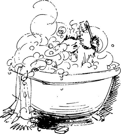 Иллюстрация к книге — Медвежонок Паддингтон находит выход [i_016.jpg]