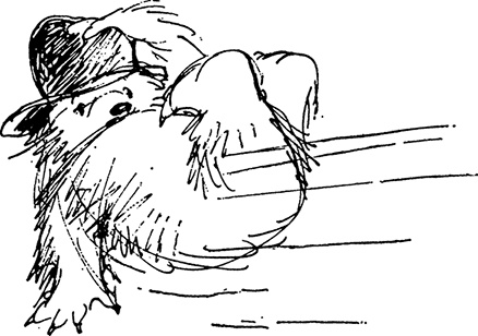 Иллюстрация к книге — Медвежонок Паддингтон находит выход [i_020.jpg]