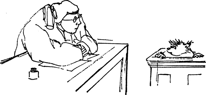 Иллюстрация к книге — Медвежонок Паддингтон на высоте [i_013.jpg]