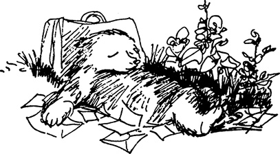 Иллюстрация к книге — Медвежонок Паддингтон на высоте [i_019.jpg]