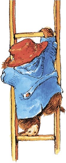 Иллюстрация к книге — Медвежонок Паддингтон в саду [i_013.jpg]