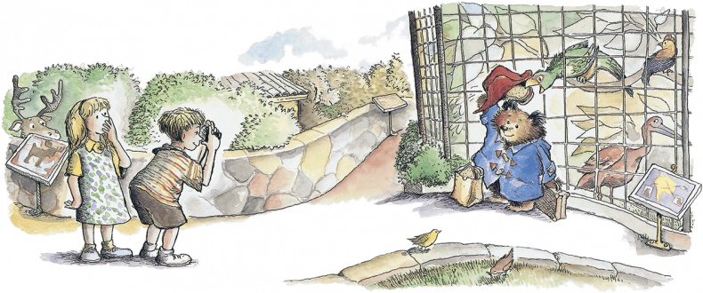 Иллюстрация к книге — Медвежонок Паддингтон в зоопарке [i_003.jpg]