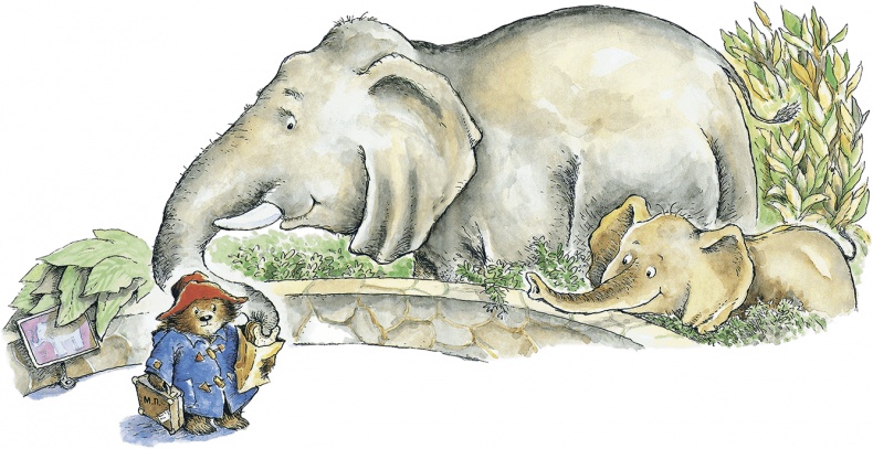 Иллюстрация к книге — Медвежонок Паддингтон в зоопарке [i_006.jpg]