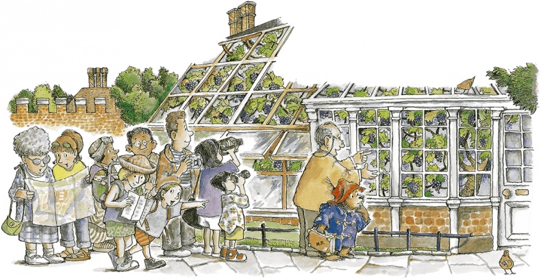 Иллюстрация к книге — Медвежонок Паддингтон и мармеладный лабиринт [i_009.jpg]