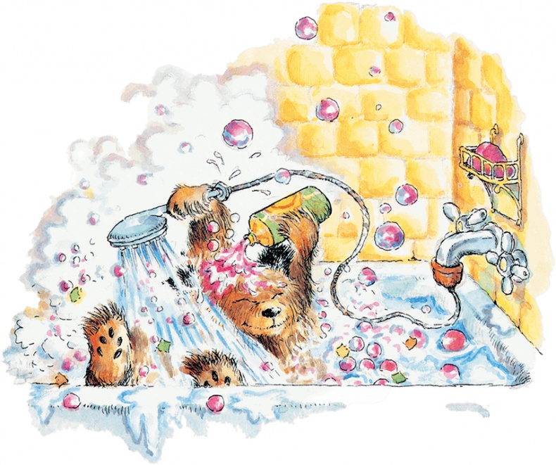 Иллюстрация к книге — Медвежонок Паддингтон и нескучный день [i_020.jpg]