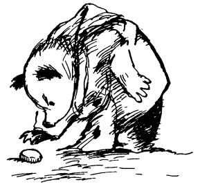 Иллюстрация к книге — Медвежонок Паддингтон. Здесь и сейчас [i_014.jpg]