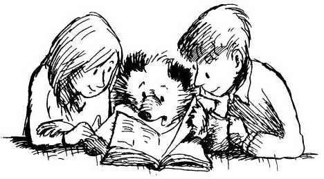 Иллюстрация к книге — Медвежонок Паддингтон. Здесь и сейчас [i_026.jpg]