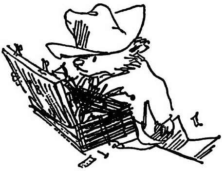 Иллюстрация к книге — Паддингтон путешествует [i_004.jpg]